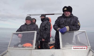 Рыбалка закончена: в Ярославской области начался нерест