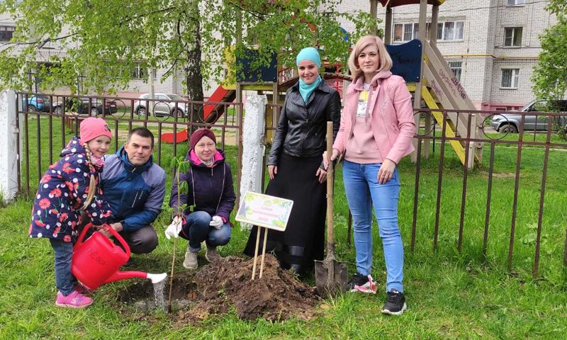 Аллея выпускников в детском саду картинки