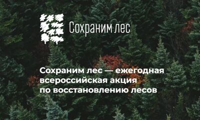 Ярославская область примет участие в акции «Сохраним лес»