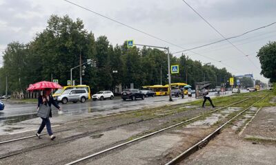 Выпадет месячная норма осадков: синоптики о погоде в Ярославской области