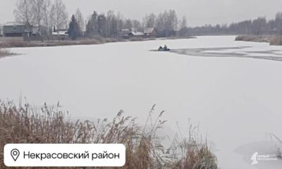 В Некрасовском районе Ярославской области неравнодушные спасли провалившуюся в полынью собаку