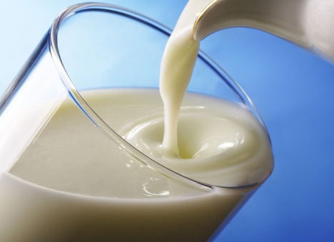 На молокозаводе в Любиме выявили нарушения санитарных норм