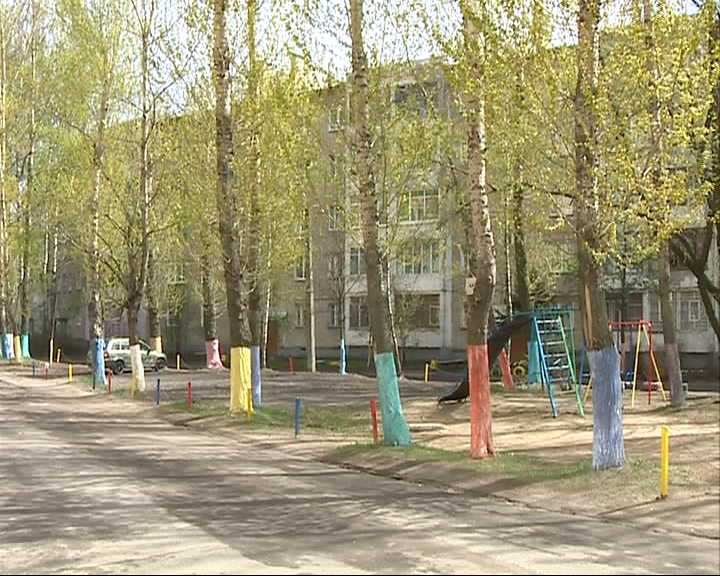 Во Фрунзенском районе раскрасили деревья