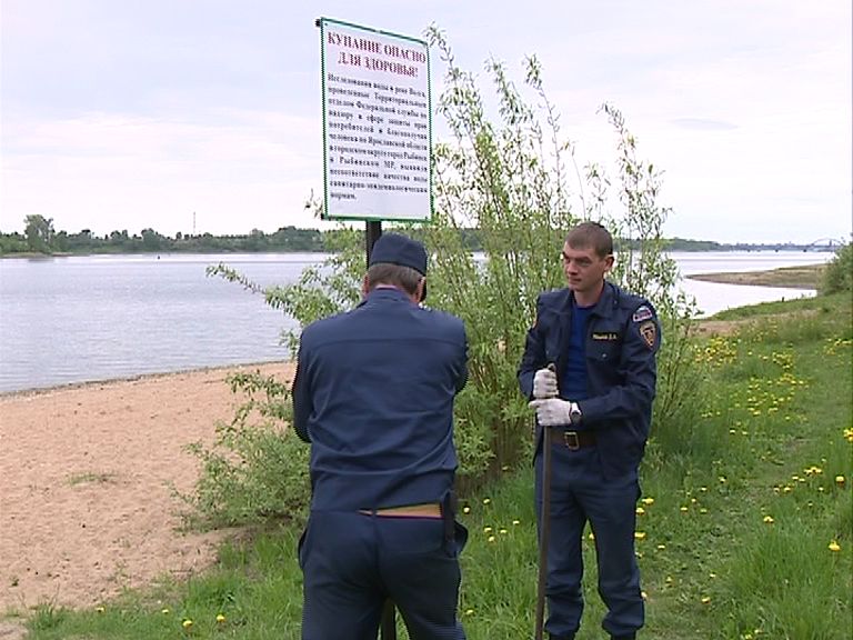В Рыбинске запретили купаться в Волге
