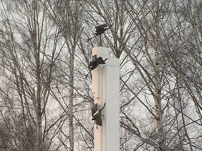 В Ярославле отреставрирован памятник жертвам радиационных аварий и катастроф