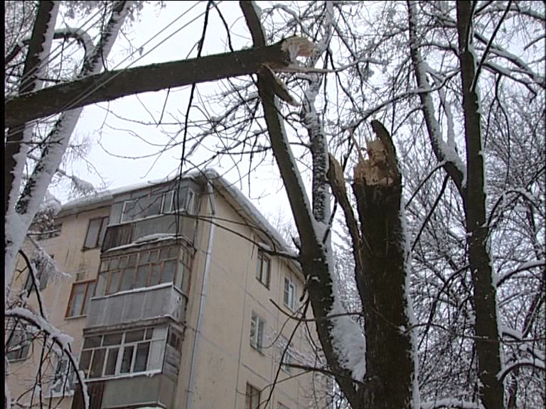 Жители Ярославского района уже больше суток остаются без электричества