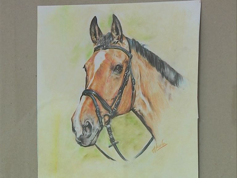 Девушка из Любима рисует удивительные картины лошадей
