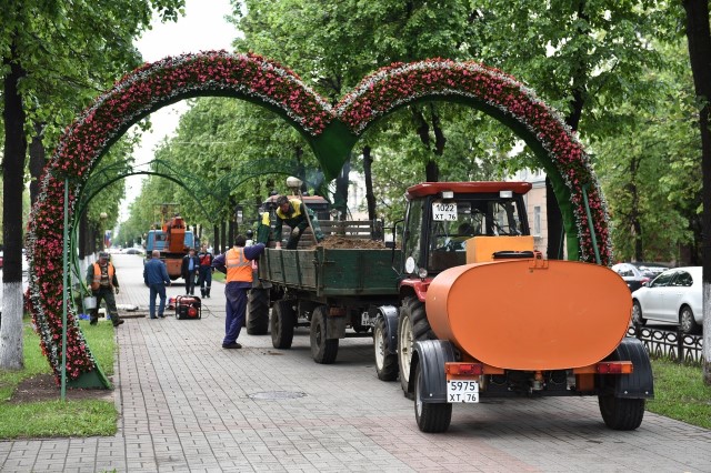 На проспекте Ленина установят 20 цветочных арок