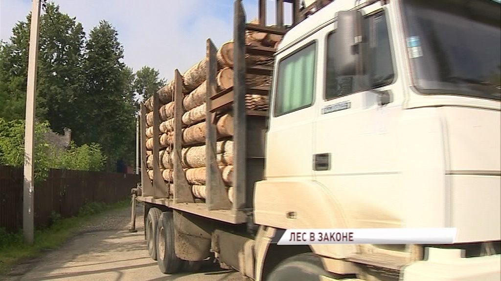 Специалисты департамента лесного хозяйства провели рейд по Ярославским пилорамам