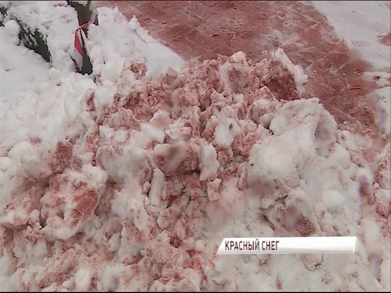 Выпал розовый снег. Красный снег в Антарктиде. Розовый снег.
