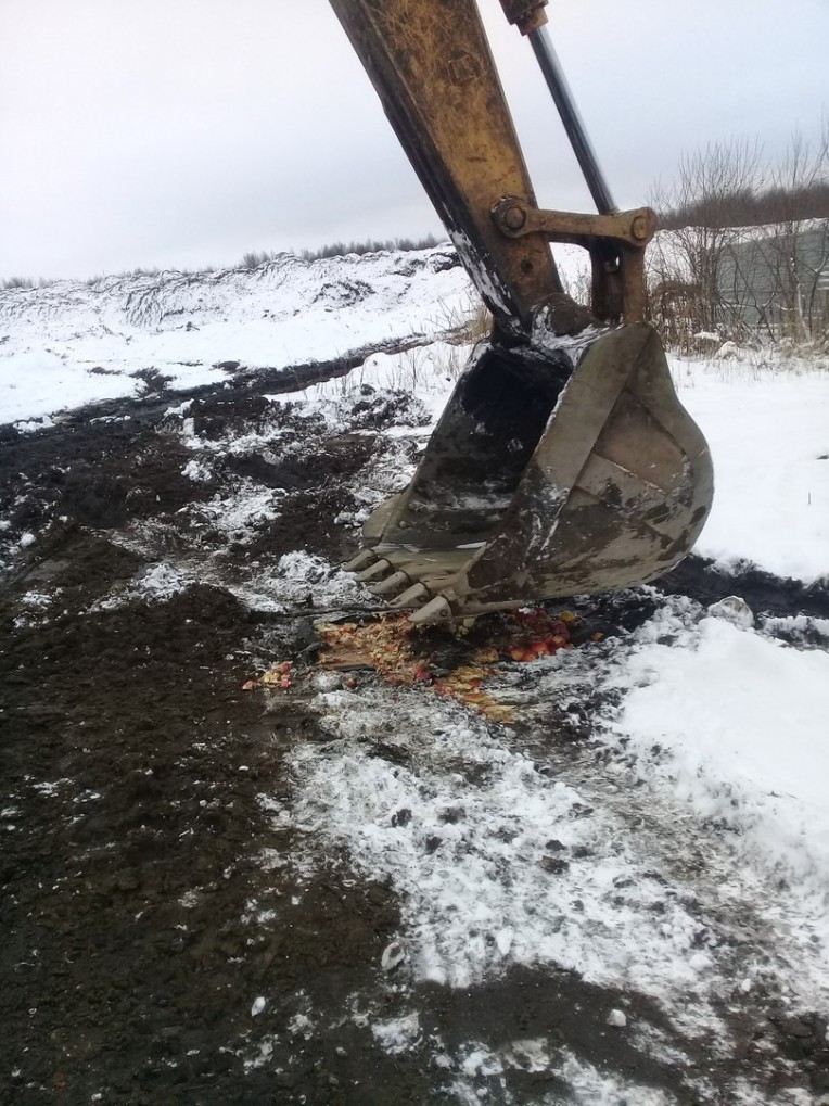 Яблоки на снегу: в Ярославле уничтожили 30 кг санкционных фруктов