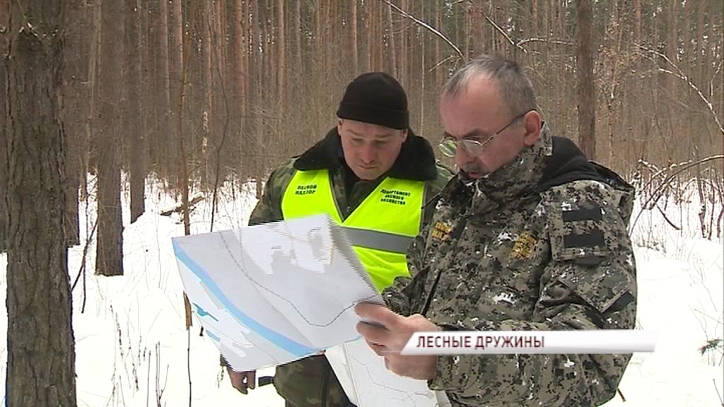 В Ярославской области появилась эффективная многоуровневая система защиты лесов