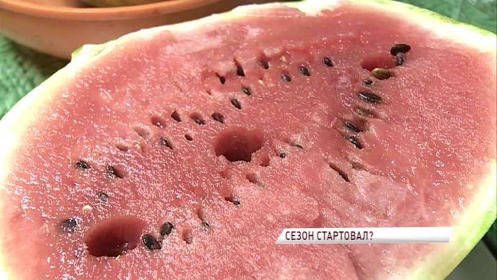 Опасные или нет: сезон арбузов в Ярославле стартовал раньше обычного