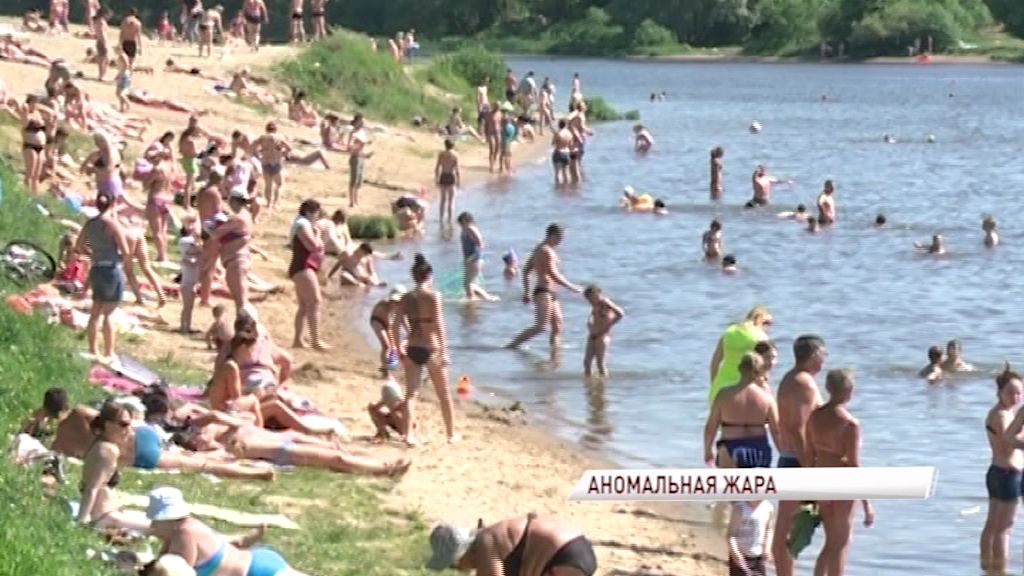Как в 2010: синоптики сообщили об аномальной жаре в Ярославской области на выходных