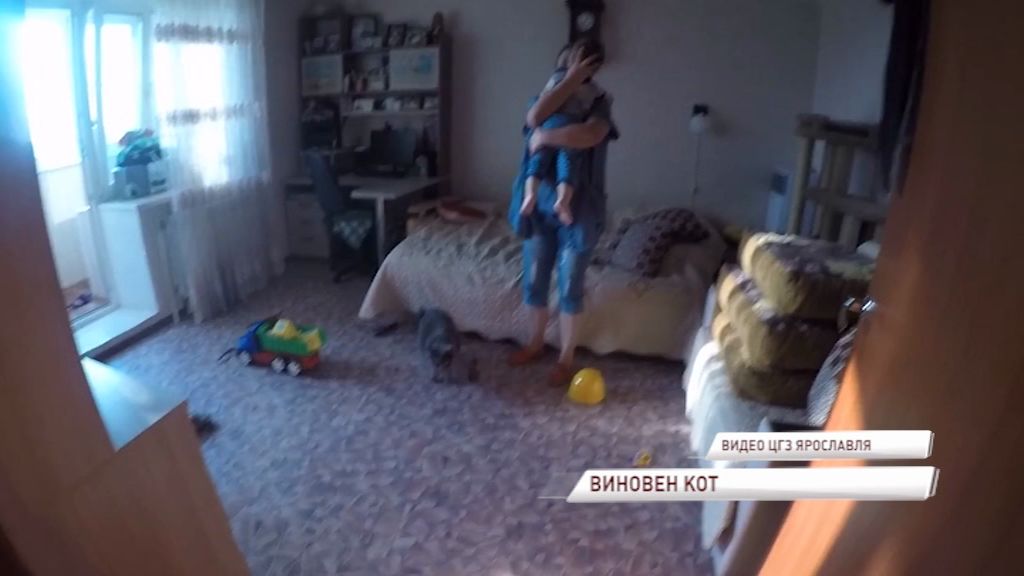 В Ярославле кот запер в квартире двухлетнего ребенка