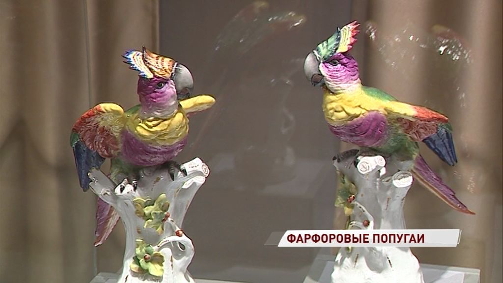 Музей зарубежного искусства презентовал новую выставку «Попугаи. Роскошь и Красота»
