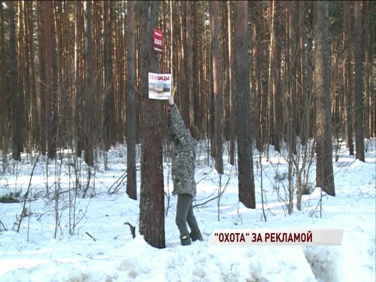 В Ярославле объявили бой рекламе не деревьях