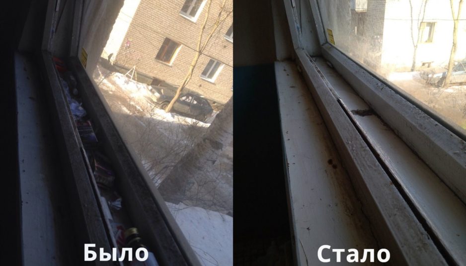 Мэрия Ярославля отреагировала на жалобу на уборку подъезда, опубликованную в соцсетях