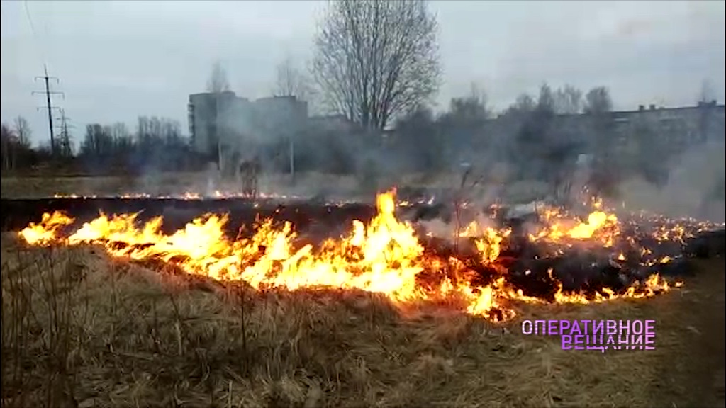 Сезон открыт: в Ярославле зафиксирован первый пожар от пала травы