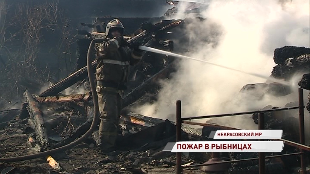 Огонь сдуло ветром прямо в поле: с пожаром в Некрасовском районе боролись шесть расчетов