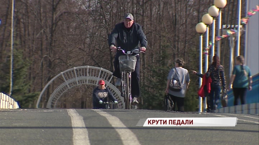Улицы Ярославля заполонили велосипедисты: соблюдают ли они правила дорожного движения