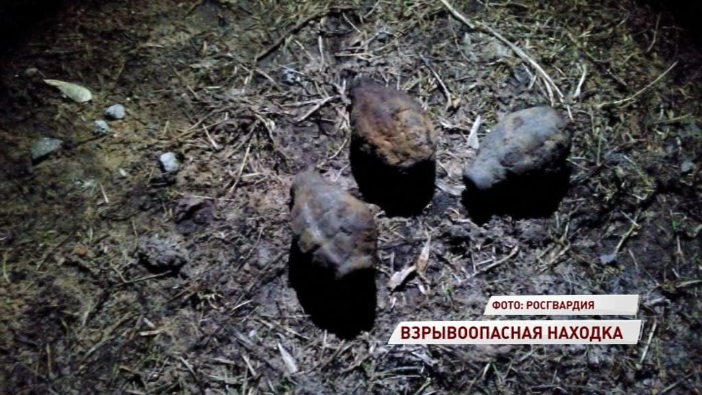 В Рыбинске на берегу реки нашли гранаты