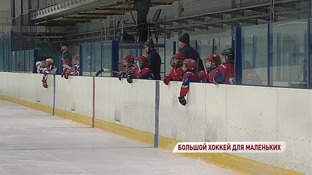 В Ярославле стартовал всероссийский турнир детских хоккейных команд