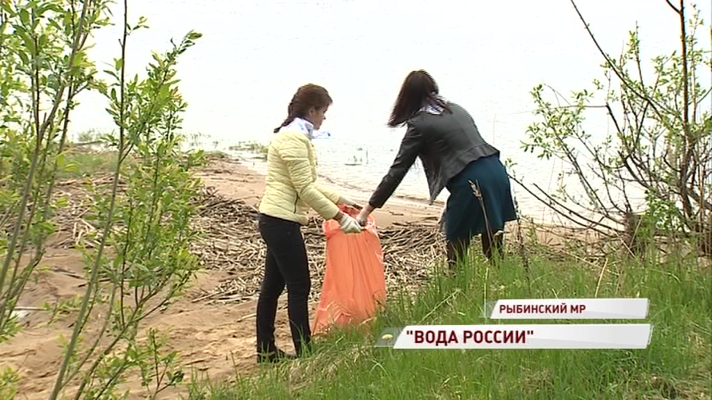 Волонтеры убрали с берега Волги мусор в рамках акции «Вода России»