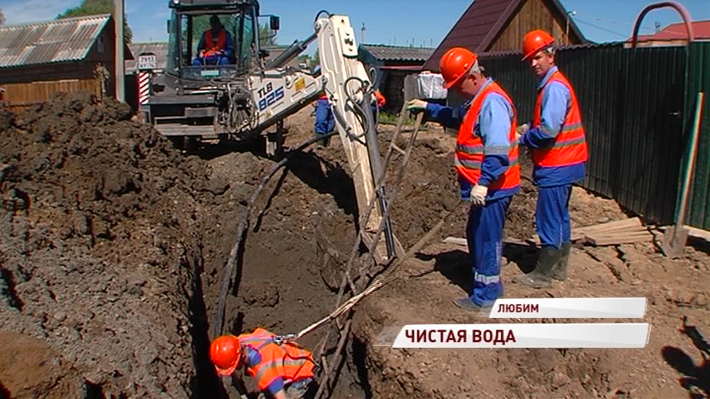 Из-за аварий едва не потеряли урожай: в Любиме начали менять старый водопровод