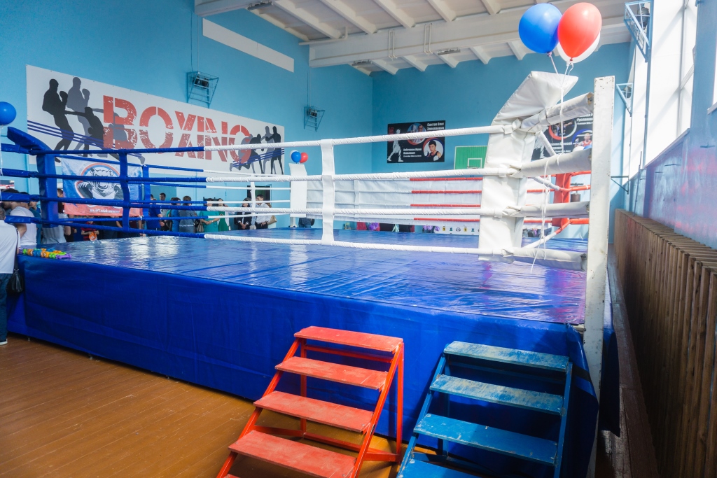 Дмитрий Миронов: «Бокс – один из самых перспективных видов спорта у нас в регионе»