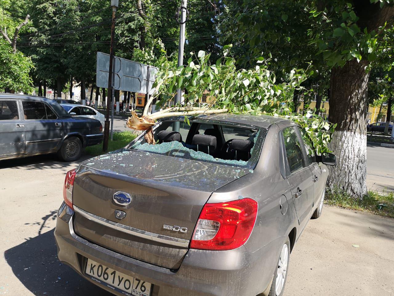 Осторожно, ветер: в Ярославле тяжелая ветка выбила стекло в иномарке