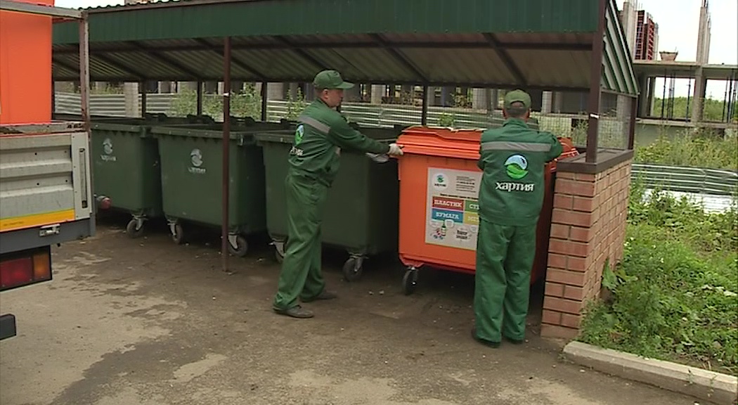 На улице Бабича в Ярославле установили контейнеры для раздельного сбора мусора