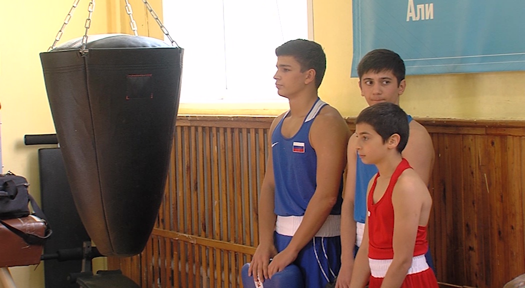 Ярославские школы бокса получили новый инвентарь
