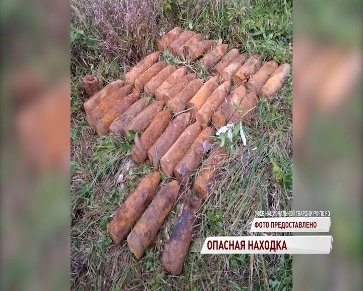 В Некоузском районе нашли россыпь снарядов времен Великой Отечественной Войны