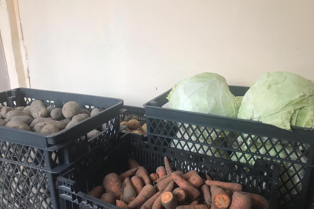 В Некоузском районе жители могут сдавать овощи, фрукты и мясо в заготовительный пункт