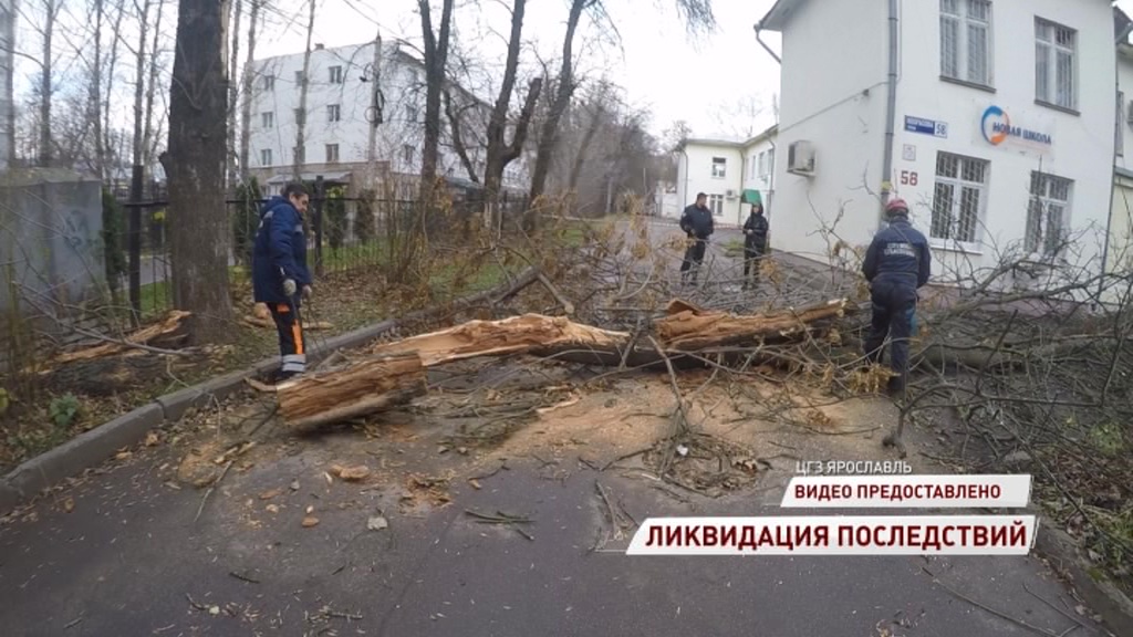 Ярославские спасатели работают в усиленном режиме после ночного урагана