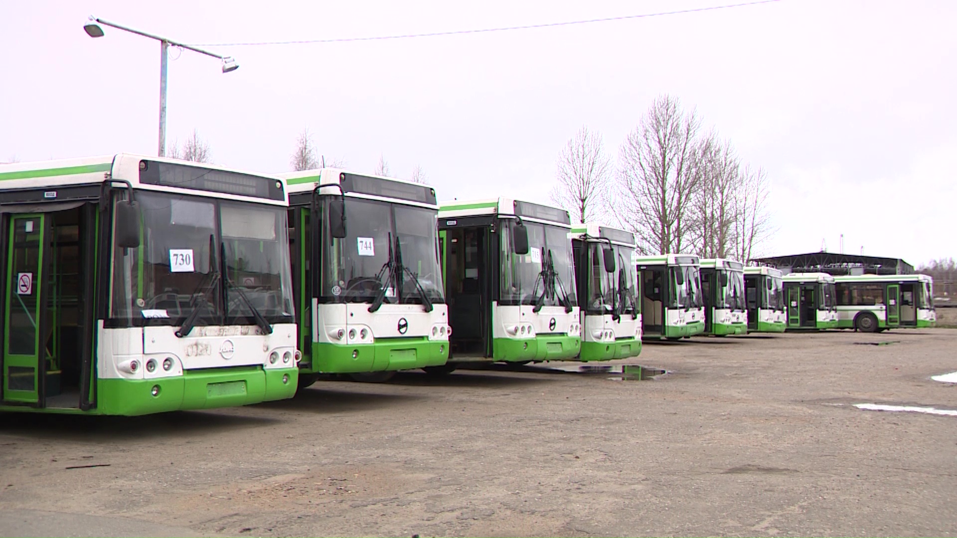 Работа пригородных автобусов в Ярославском районе восстановлена