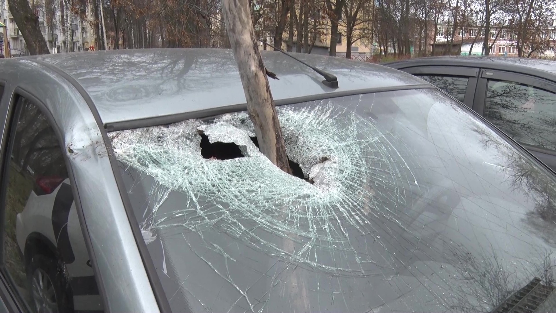 Разбитые авто, поваленные деревья и сорванные крыши: каким предстал Ярославль после ураганного ветра
