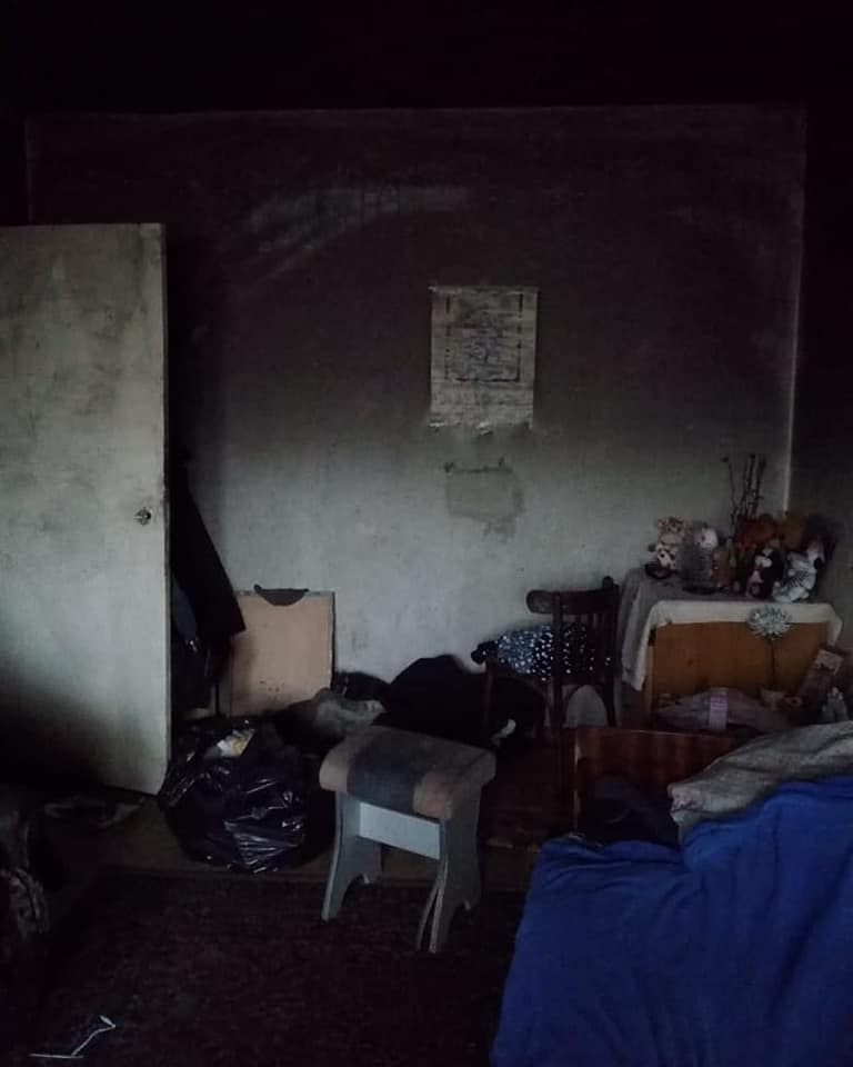 Грязь, плесень и мусор: жильцы захламили муниципальную квартиру на Резинотехнике