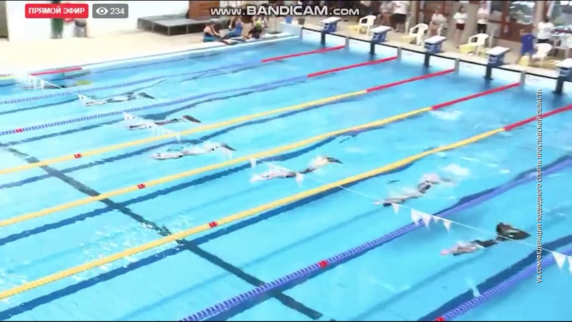 Ярославские пловцы в ластах завоевали девять медалей на этапе Кубка мира