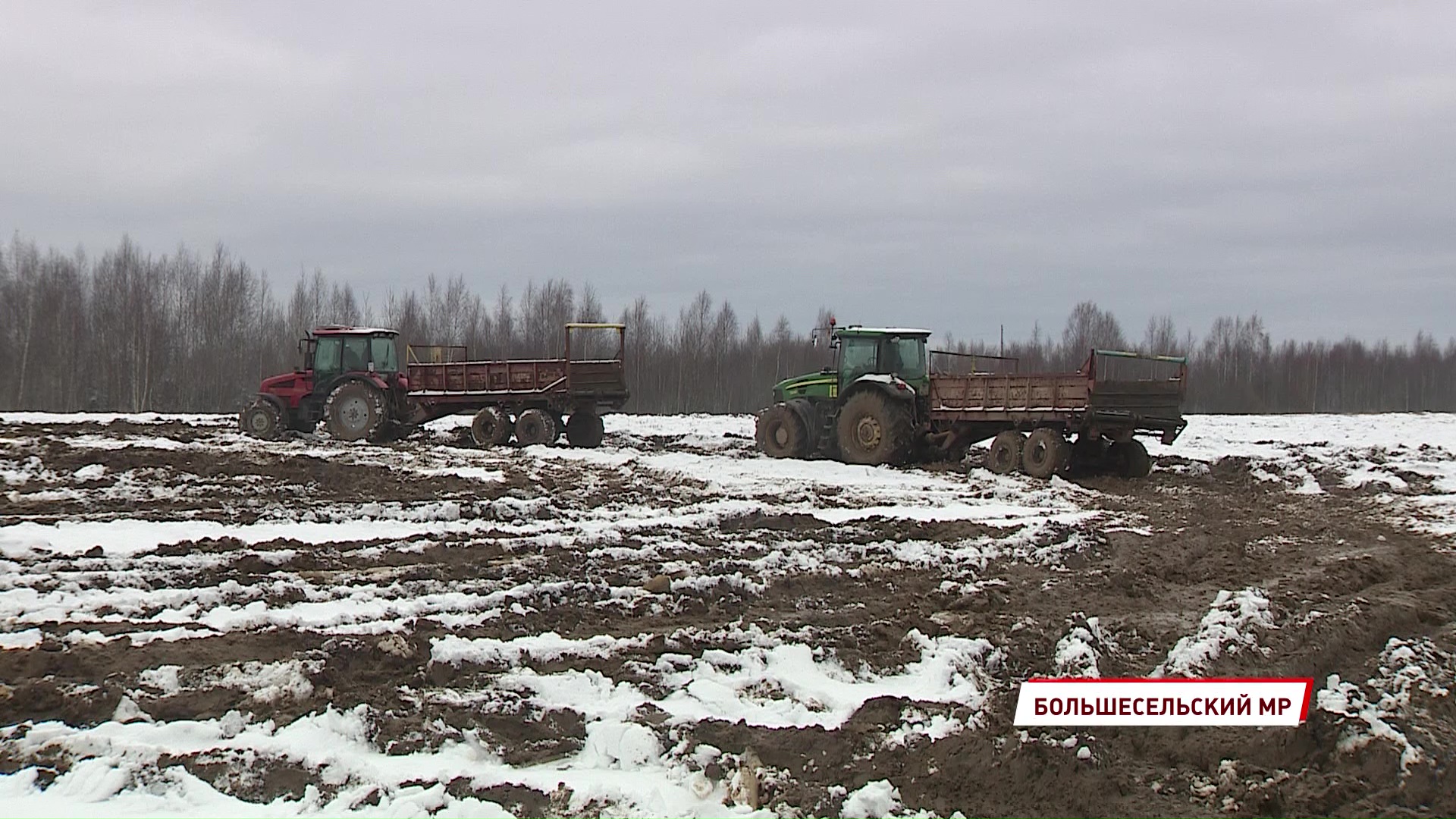 По факту складирования куриного помета в деревне Кузьминское началась проверка