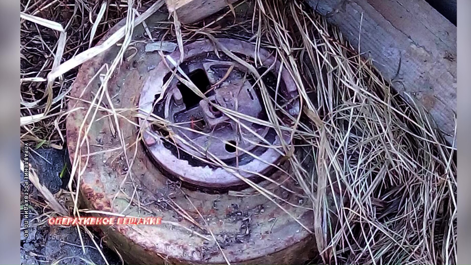 Дачница нашла у себя в огороде противотанковую мину