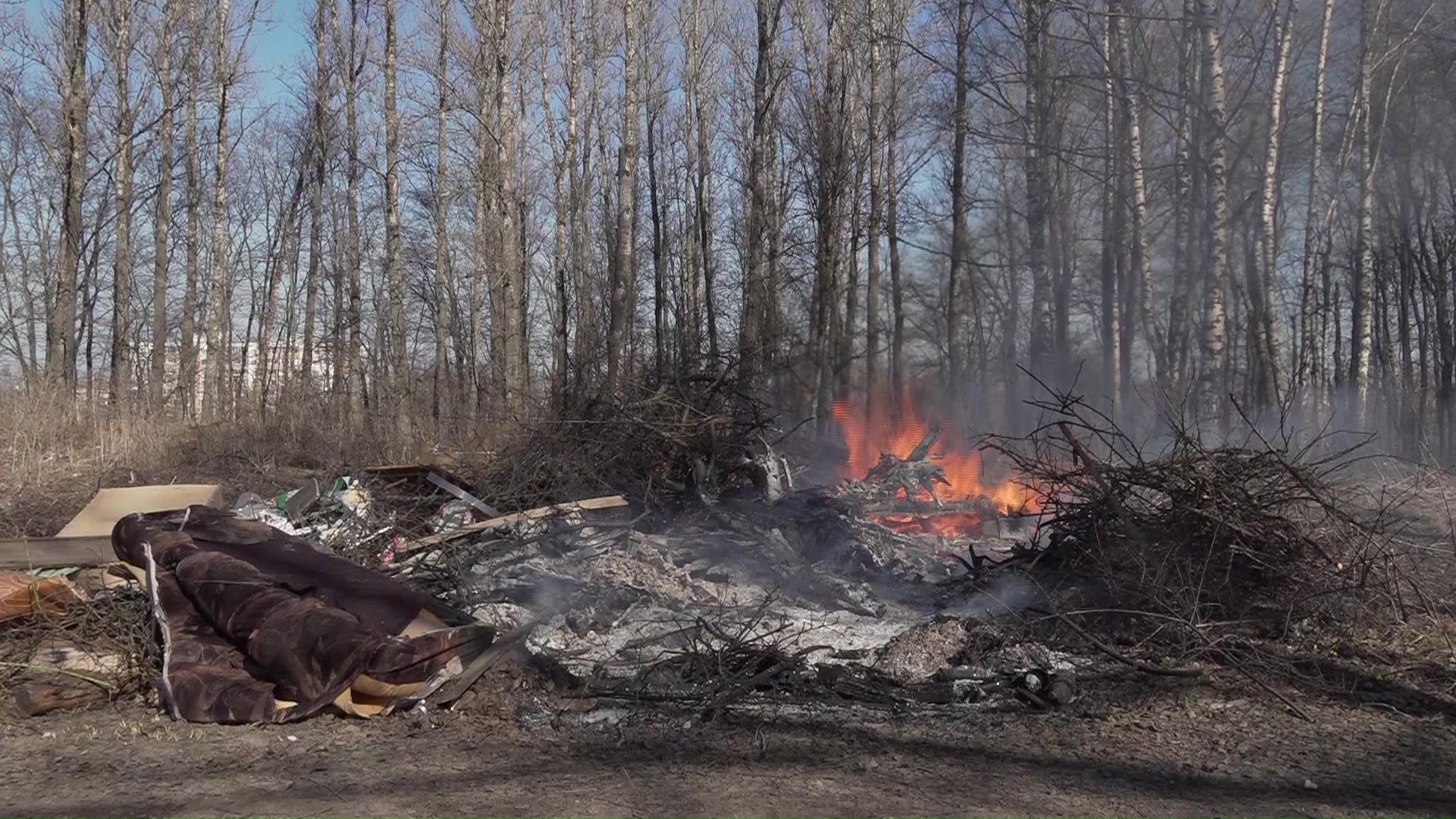В Ростовском районе и Переславле могут запретить посещать леса