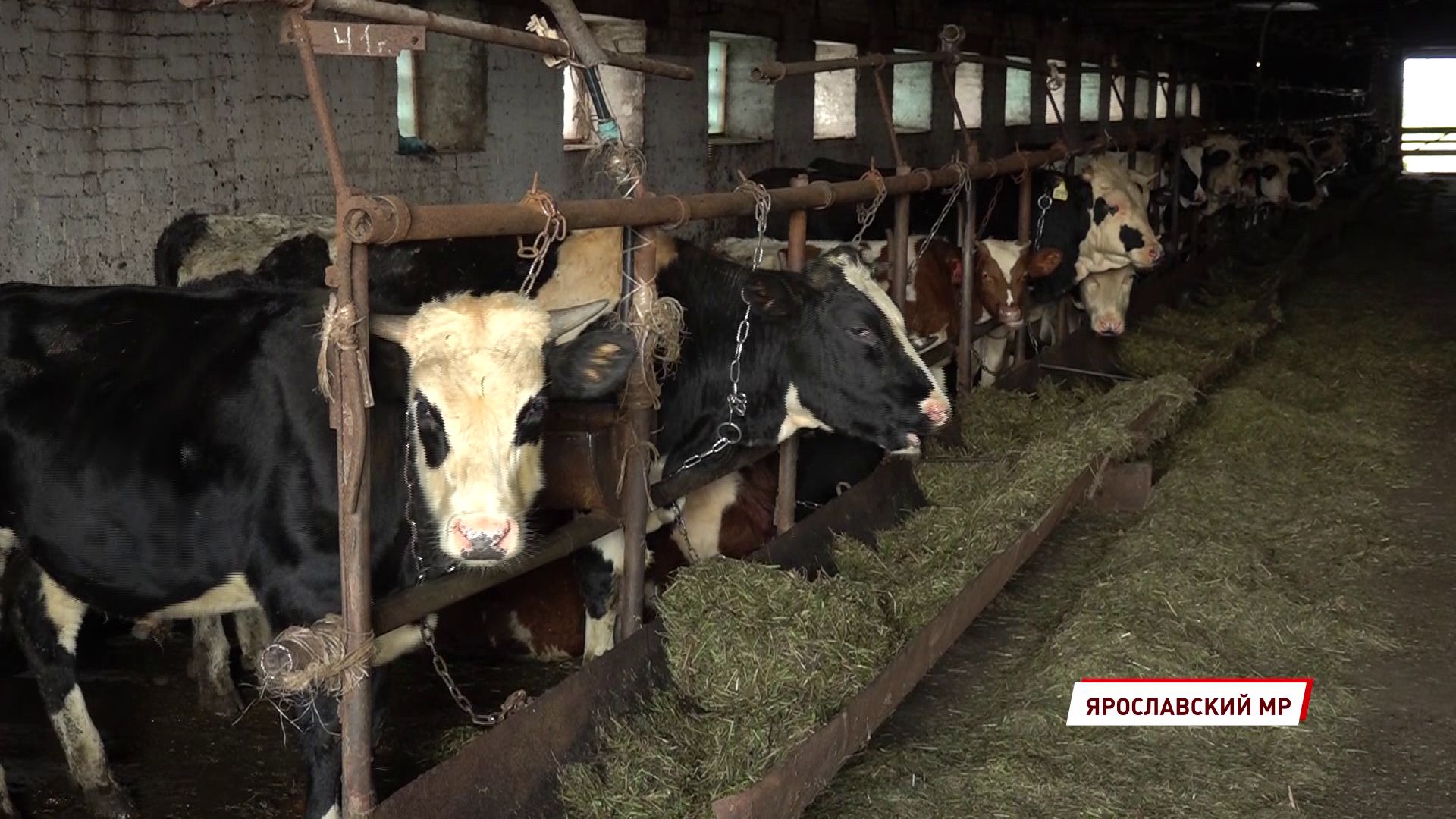 Ярославское сельхозпредприятие задолжало работникам более двух миллионов рублей