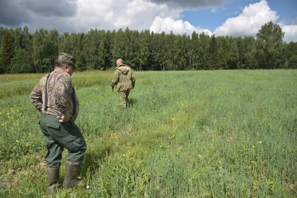 В этом году в Ярославской области выявили 46 уголовно наказуемых случаев браконьерства