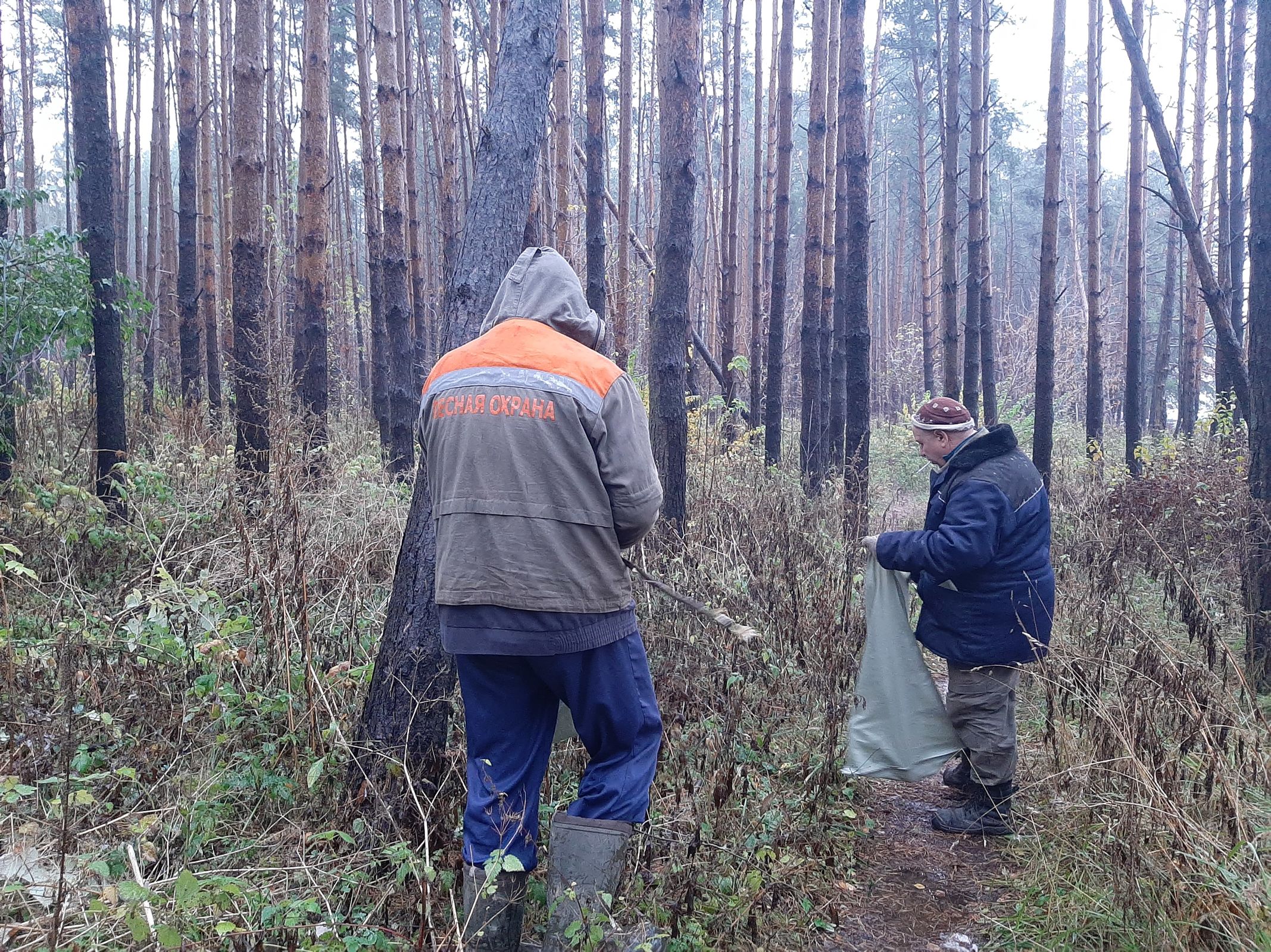 С начала года из лесов Ярославской области вывезли около 870 кубометров мусора