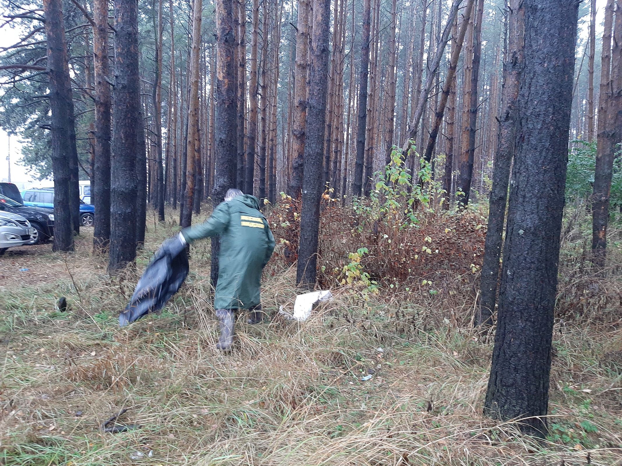 С начала года из лесов Ярославской области вывезли около 870 кубометров мусора
