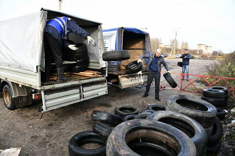 В Дзержинском районе Ярославля принимают старые покрышки и корм для бездомных животных