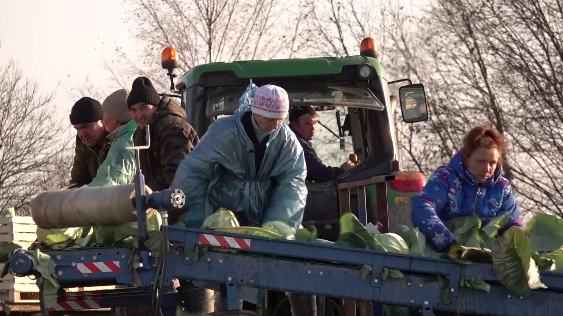 Ярославские сельхозпредприятия представили агротехнологии будущего