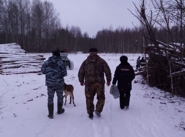 70 случаев браконьерства пресекли в Ярославской области в этом году